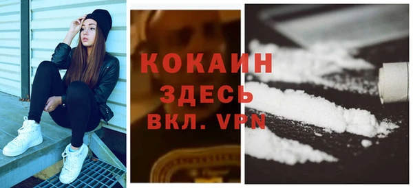 индика Балахна