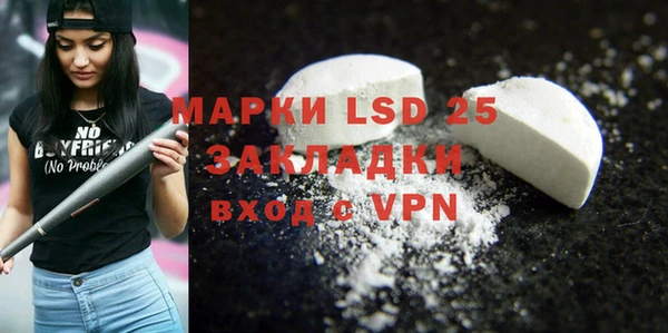 шишки Баксан