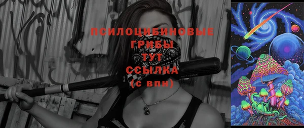 индика Балахна