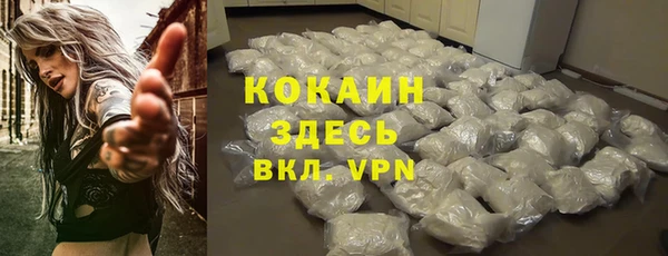 шишки Баксан