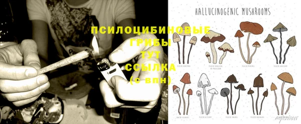 COCAINE Сосновый Бор